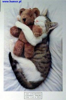 I cant sleep without my Teddy